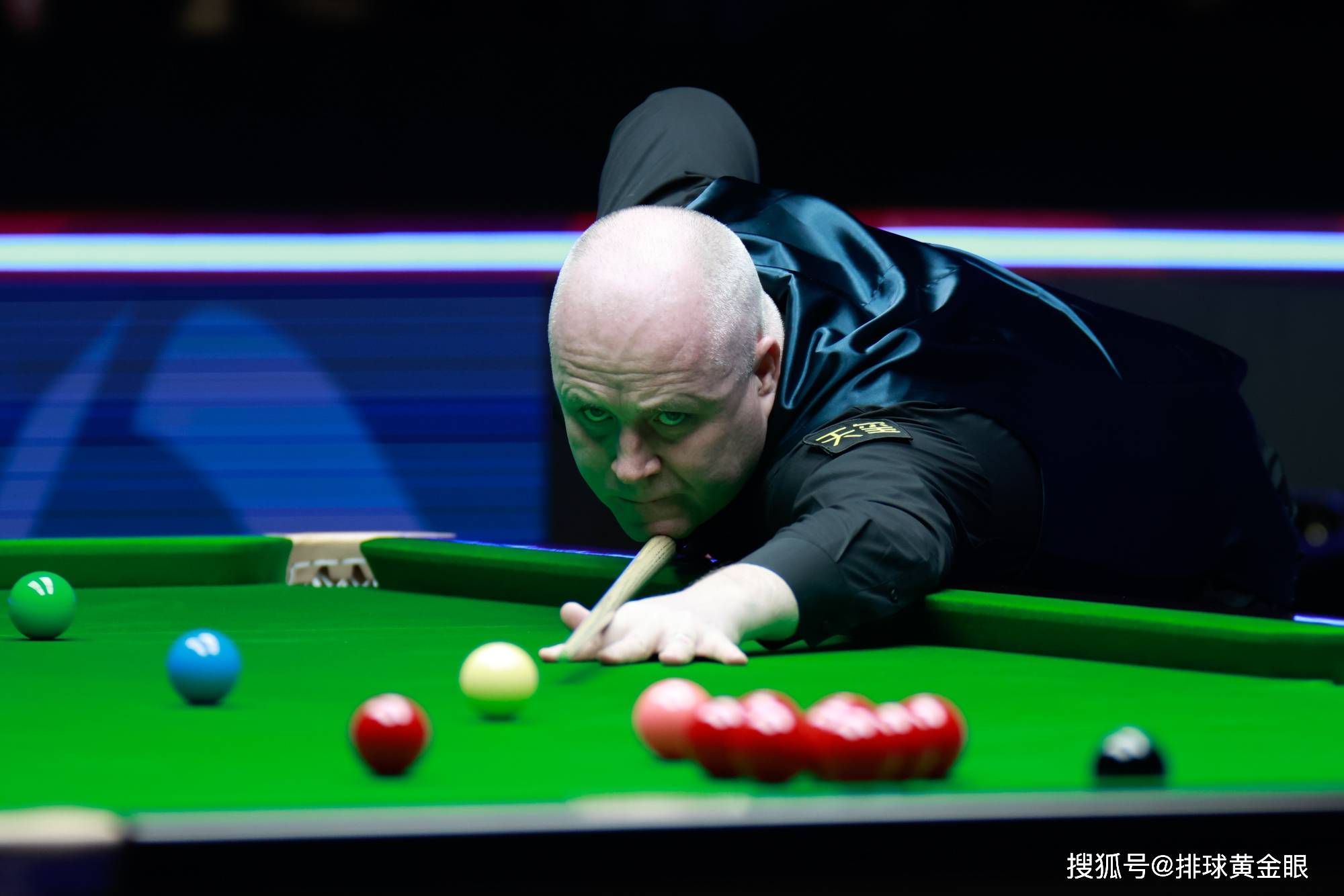 森林的新战 森林的新战